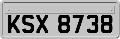 KSX8738