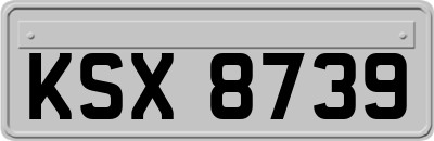 KSX8739