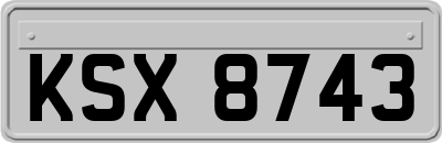 KSX8743