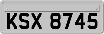 KSX8745