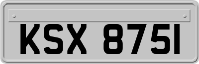 KSX8751