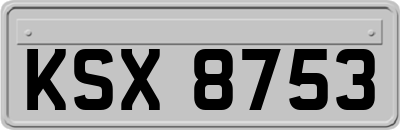 KSX8753