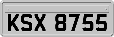 KSX8755