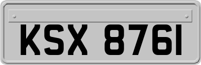 KSX8761