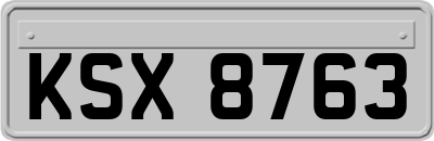 KSX8763