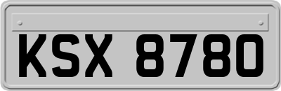 KSX8780