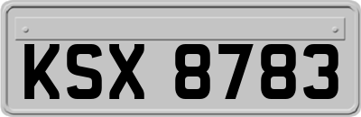 KSX8783
