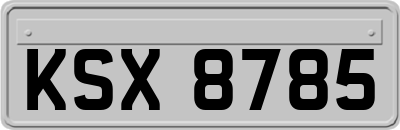 KSX8785