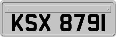 KSX8791