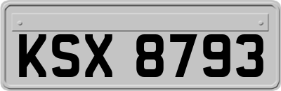 KSX8793