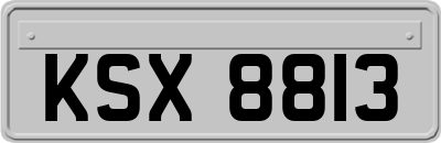 KSX8813