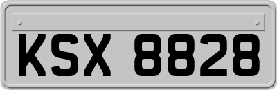 KSX8828