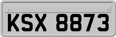 KSX8873