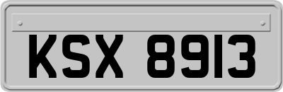 KSX8913