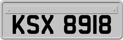 KSX8918