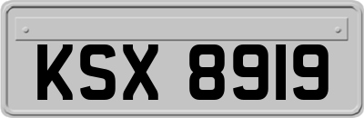 KSX8919