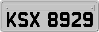 KSX8929