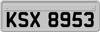 KSX8953