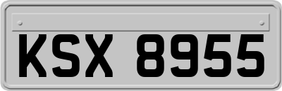 KSX8955