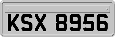 KSX8956
