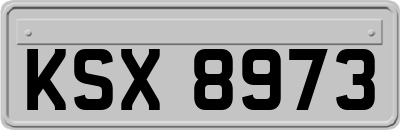 KSX8973