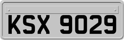 KSX9029