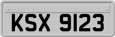 KSX9123