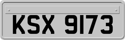 KSX9173
