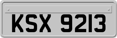 KSX9213