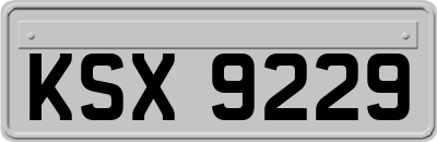 KSX9229