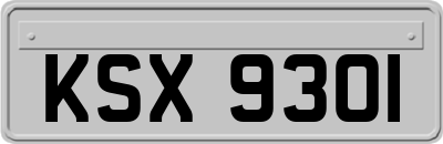 KSX9301
