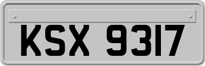KSX9317