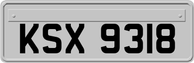 KSX9318