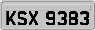 KSX9383