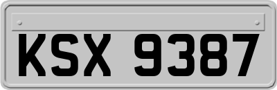 KSX9387