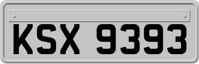 KSX9393