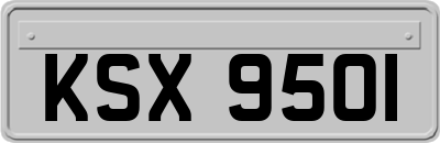 KSX9501