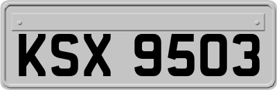KSX9503