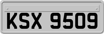 KSX9509