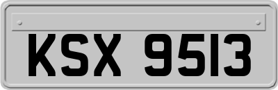 KSX9513