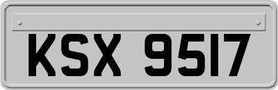 KSX9517