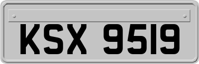 KSX9519