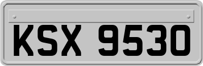 KSX9530