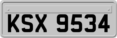 KSX9534