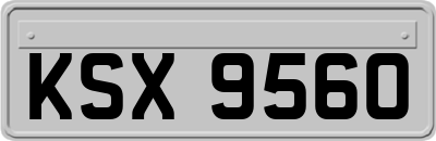 KSX9560