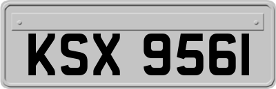 KSX9561
