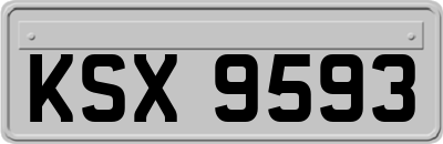 KSX9593