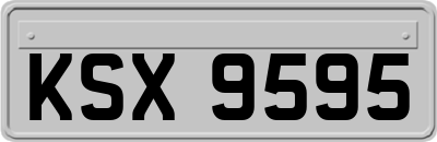 KSX9595