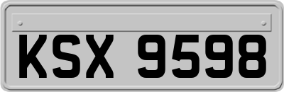 KSX9598
