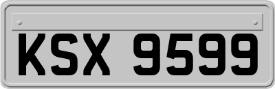 KSX9599